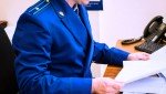 Далматовским районным судом вынесен обвинительный приговор по уголовному делу о систематическом нанесении побоев несовершеннолетнему ребенку